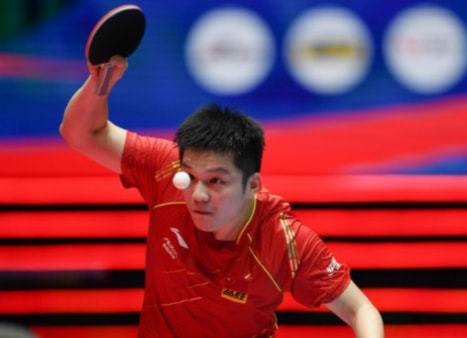 根据你所提 根据你所提