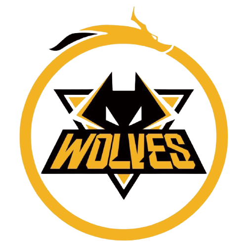 能力的提升 能力的提升