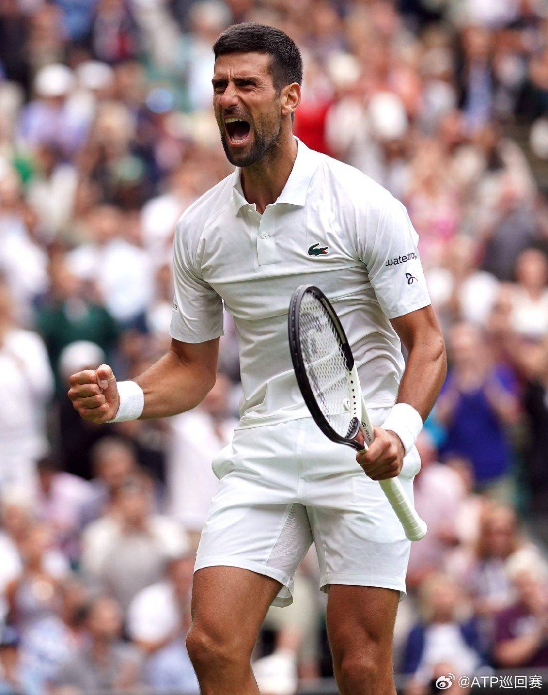 了极高的水 了极高的水