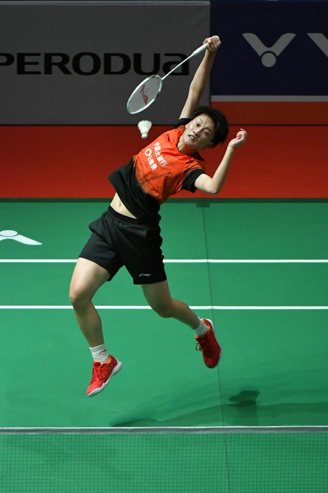 王楚钦的成 王楚钦的成