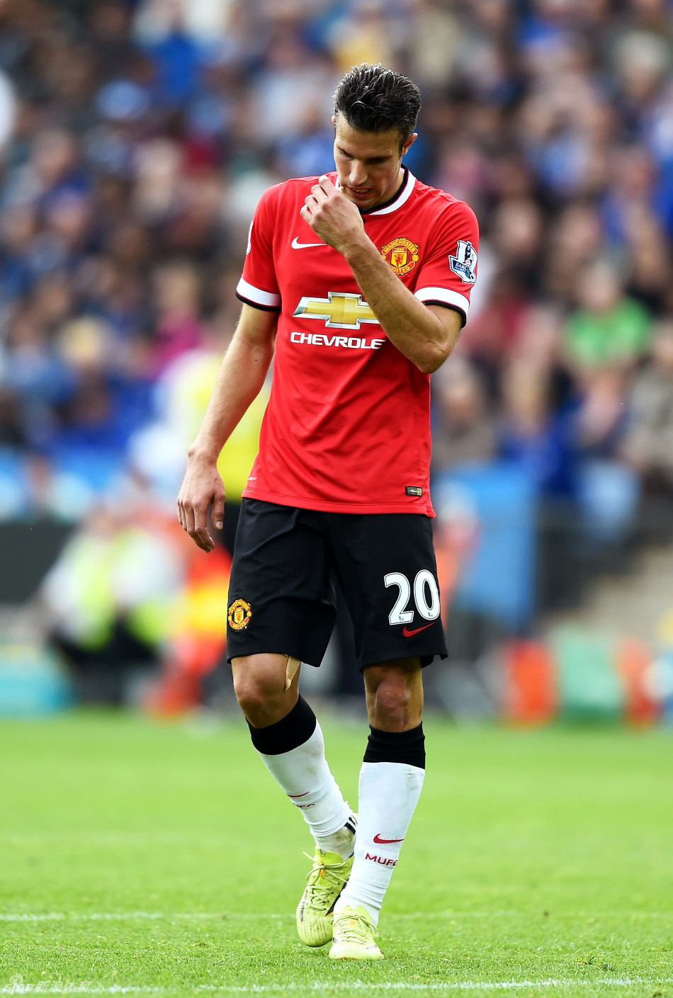 构成了他抵 构成了他抵